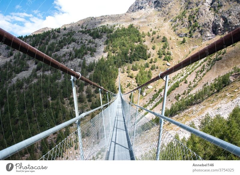 Charles Kuonen suspension bridge in Swiss Alps. With 494 metres, it is the longest suspension bridge in the world in summer landscape nature outdoor view travel
