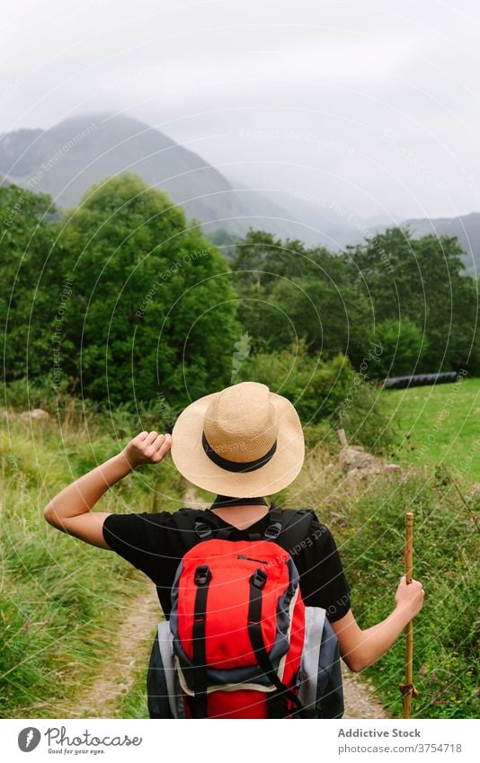 Traveler standing on path in forest tourist backpack trail travel woods nature vacation adventure hat journey traveler walk holiday summer activity trekking