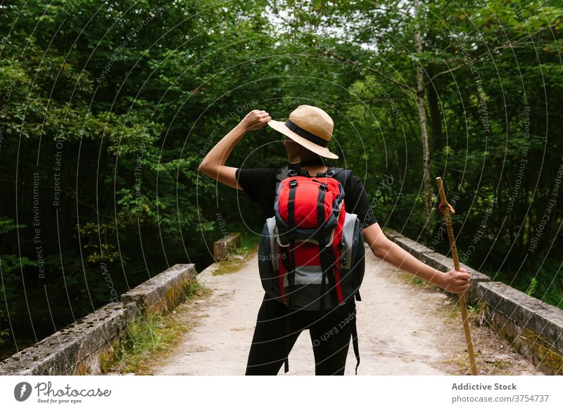Unrecognizable traveler on stone bridge in woods forest explore vacation summer relax admire nature tourist backpack wooden stick shabby adventure tourism