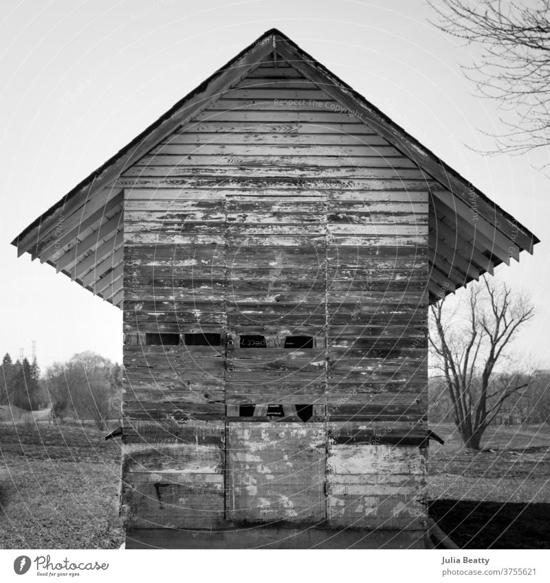 Whitewashed barn outbuilding corncrib on a farm with trees corn crib barnwood slats rafters Abandoned old worn vintage Weathered Retro wall Dirty prairie