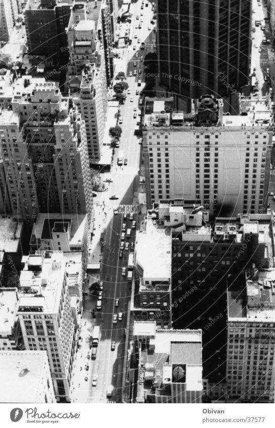 New York streets New York City USA Downtown Skyline Populated High-rise Architecture Transport Rush hour Street Car Tall Things Black & white photo