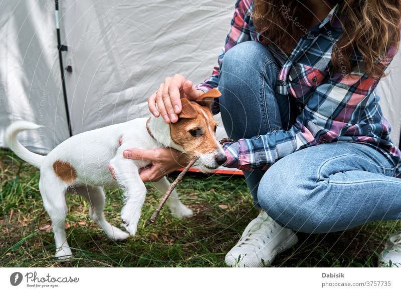 Woman with jack russell terrier puppy dog outdoors. Relationships and pet care concept owner happy animal cute friendship playing lifestyle fun grass young