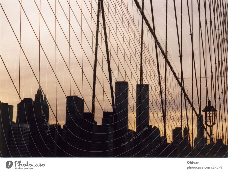 New York Skyline New York City Building North America Bridge Net World Trade Center Shadow wool scraper