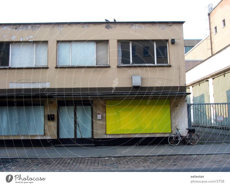 komm_lass_uns_fliegen Pigeon Yellow Shop window Frankfurt Architecture Gallery