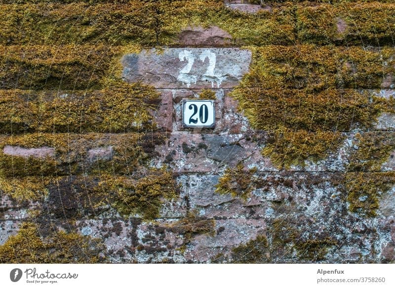 CORRECTION House number Wall (building) Moss Digits and numbers Wall (barrier) Exterior shot Deserted Colour photo Facade Signs and labeling Copy Space bottom
