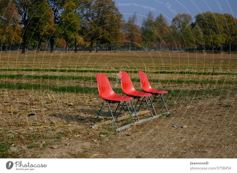 three red bowl jars on a field acre Red Chair Row of chairs Exterior shot Nature Autumn trees forsake sb./sth. Deserted Field Wait Lonely Environment