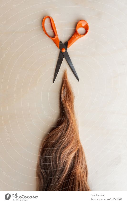 Red ginger hair cut with orange scissor, flat lay hairdresser haircut hairstylist red hair long hair dead ends scissors isolated sharp tool metal steel object