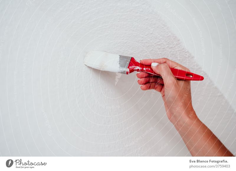 close up of caucasian woman painting the room walls with white color. Do it yourself and new home concept bucket move hands unrecognizable holding house