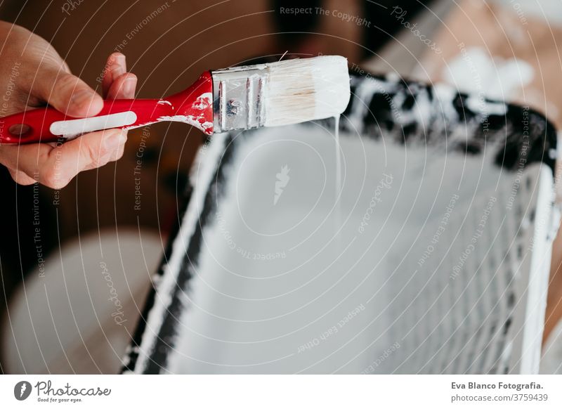 close up of caucasian woman painting the room walls with white color. Do it yourself and new home concept bucket move hands unrecognizable grip holding house
