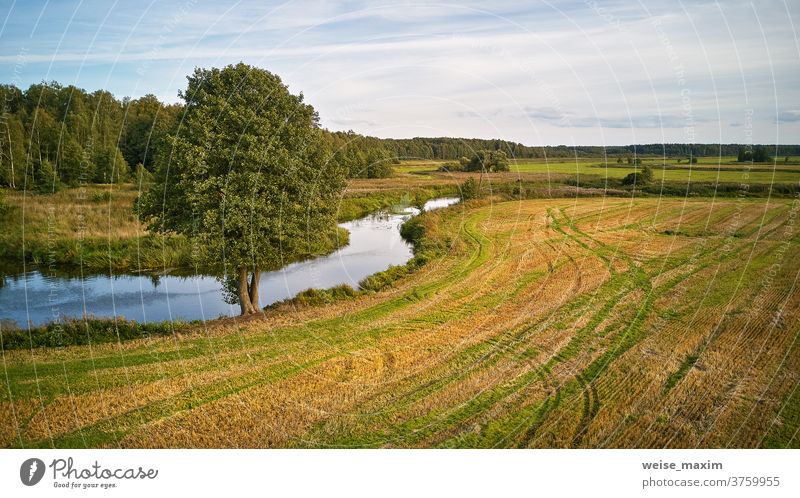 Summer background with alder tree on riverbank. Agriculture fields after harvest autumn fall sunny water September nature reflection blue aerial landscape