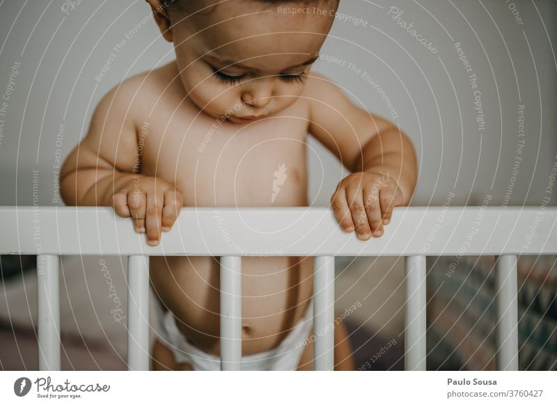 Toddler on the crib Crib Baby Bed Bedroom toddler bed at home Caucasian 0 - 12 months Day Happy Small Child Cute Human being Infancy Interior shot Colour photo