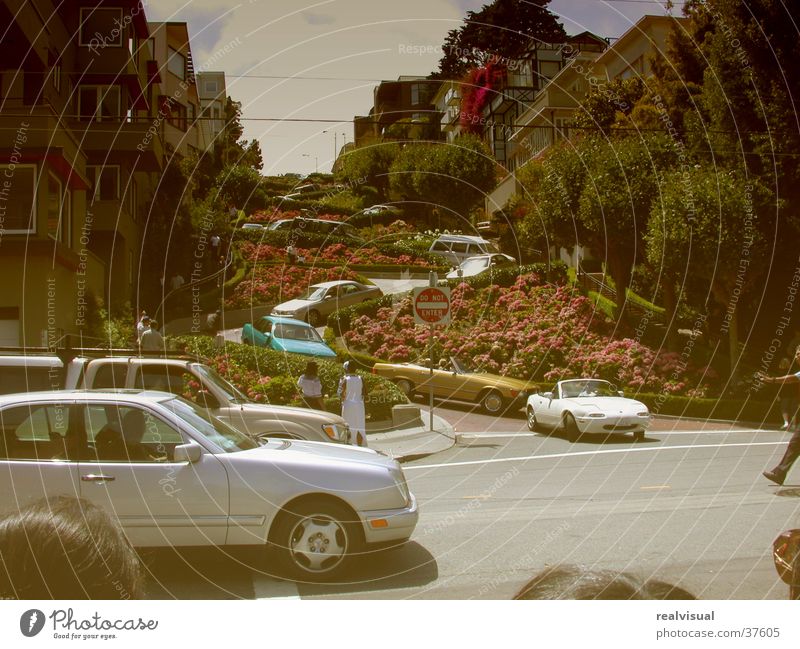 San Francisco Winding road Yellowed Old Lombard st. Attraction Tourist Attraction