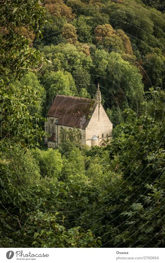 Church in the forest Forest Building Architecture trees Nature