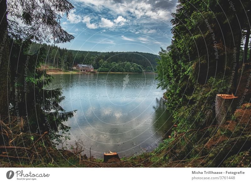 View of the lake Lütsche Dam Lake Water Forest Thueringer Wald Thuringia huts Sky Clouds Nature Landscape Deserted Rain Idyll Exterior shot Colour photo