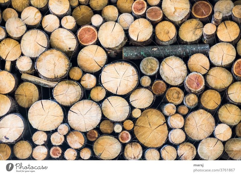 Someone has to step out of line in a pile of like-minded firewood. Stack co2 CO2-neutral Fuel Stack of wood Brown stacked Firewood Wood idyllically naturally