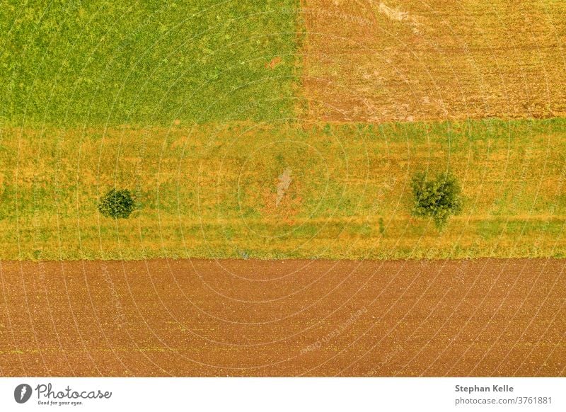 Aerial view top shot at a field with two trees, kind of minimalism, orange, natural background photo. aerial row meadows top view fields copyspace country