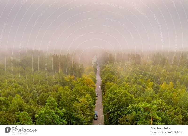 Aerial view at the car traffic on a road between a forest in foggy conditions, nice misty view from the birds eye. abstract tree summer nature landscape morning