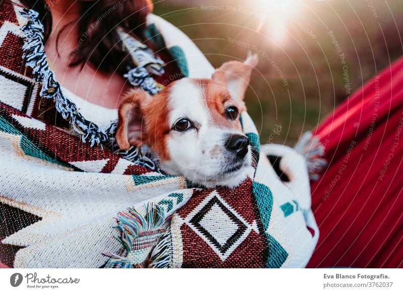 young woman relaxing with her dog in orange hammock. Covering with blanket. Camping outdoors. autumn season at sunset lying hammock jack russell pet nature park