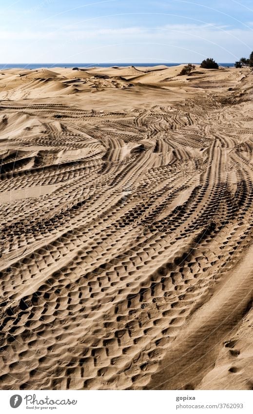 Tire tracks in the sand of the big dune on Gran Canaria Skid marks Environment Canaries Canary Islands Spain Landscape Nature Vacation & Travel Tourism