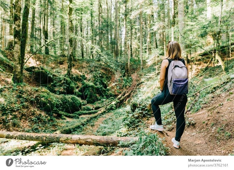 Young female nature explorer in the forest active adventure alone back backpack backpacker beautiful discovery europe foliage freedom girl green hike hiker