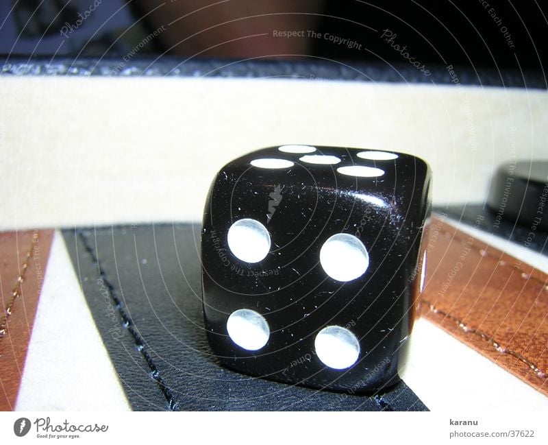 The die is cast 4 Backgammon Playing Leisure and hobbies Macro (Extreme close-up) play Dice