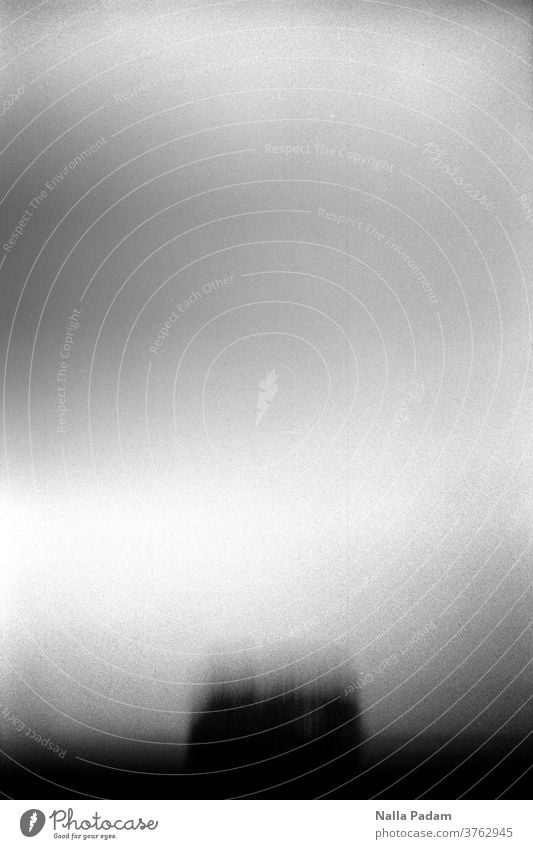 grove blurred Analog Analogue photo Black & white photo black-and-white Exterior shot Deserted Nature Day Clouds Gray Tree Grove of trees blurriness