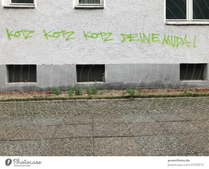 When you run out of arguments in the middle of an argument... Graffiti, seen in Berlin: Puke, Puke, Puke... your Mud(d)a. Photo: Alexander Hauk quarrel