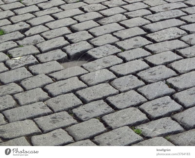 Cobblestones. One stone is missing. hatch Street Lanes & trails Paving stone Stone Deserted Exterior shot Traffic infrastructure Pavement Structures and shapes