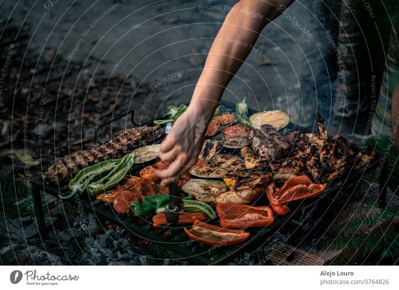 Grilled vegetables, chicken and pork in a rustic outdoor barbecue. colorful bio seasonal grocery Organic produce farming nutrition tomatoes freshness