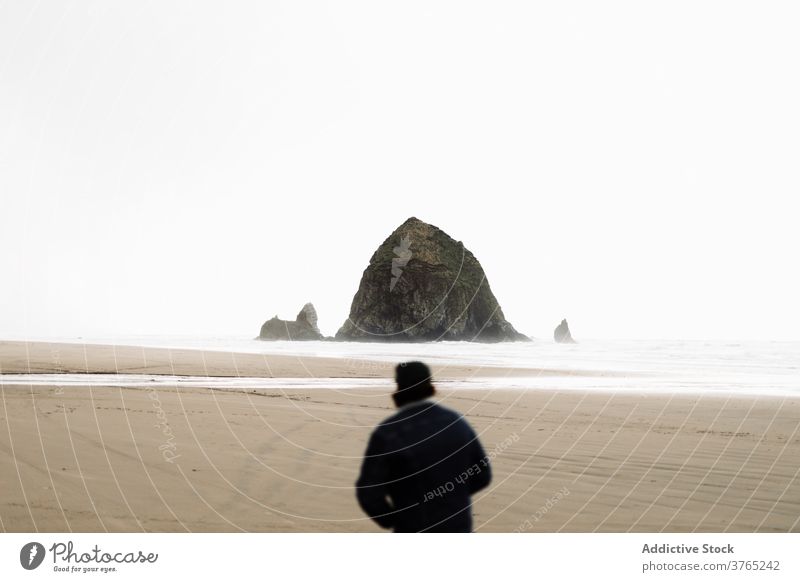 Person at seaside on cloudy day seashore person walk seascape gloomy overcast foam nature usa united states america weather sky ocean calm daytime destination