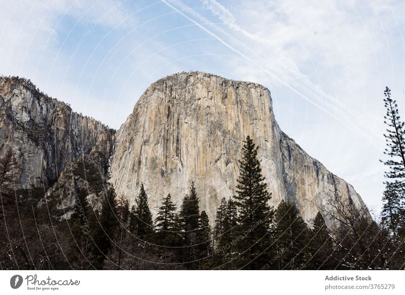 Mountain ridge against cloudy blue sky mountain range rough coniferous forest majestic landscape scenic highland usa united states america surface tranquil