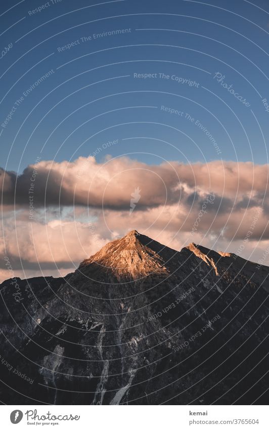 Illuminated mountain top allgau Peak Mountain summits Light evening light Sun Evening sun warm Blue Sky Clouds Tall Rock