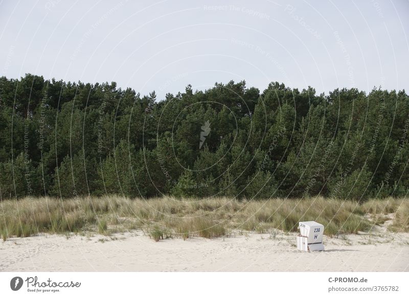 Lonely beach chair in front of a dune Beach Forest Sky Summer