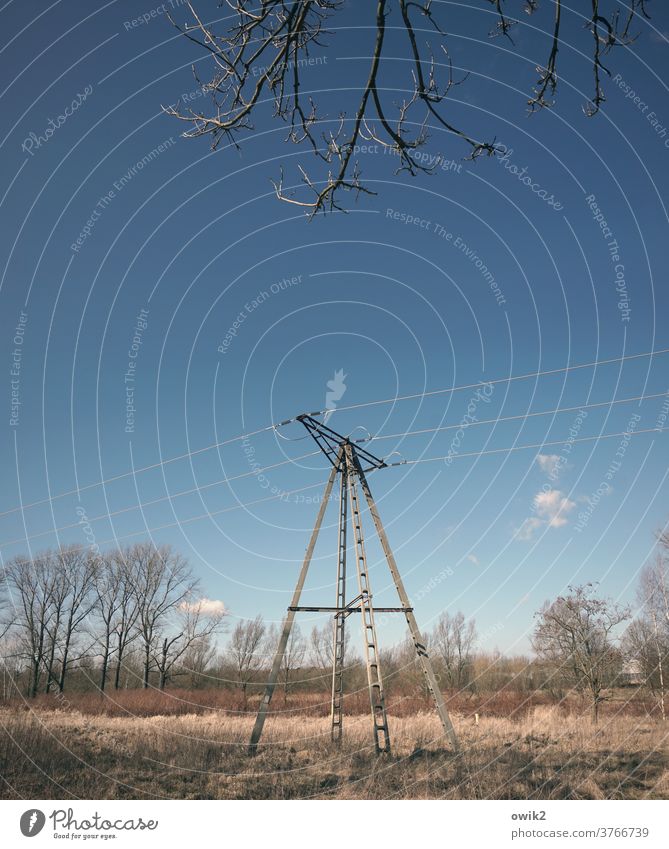 handy Technology Energy industry Electricity pylon Power transmission High voltage power line Cable Landscape Cloudless sky Beautiful weather tree Horizon Stand