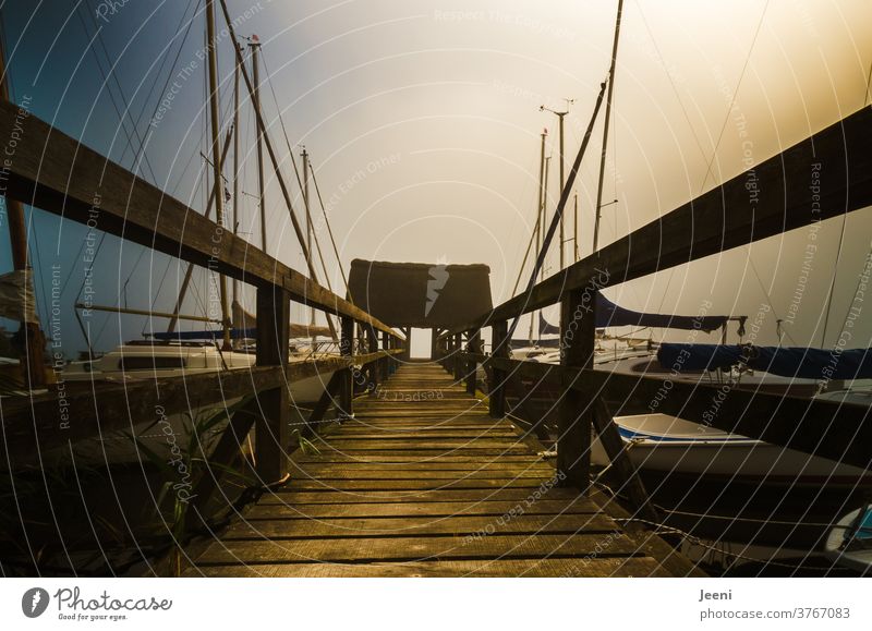 morning of fog Lake Fog Footbridge Bridge Water foggy Calm Nature Lonely Moody sailboats Mooring place Wood Landscape Morning Dawn Sunrise Sky Blue sunny