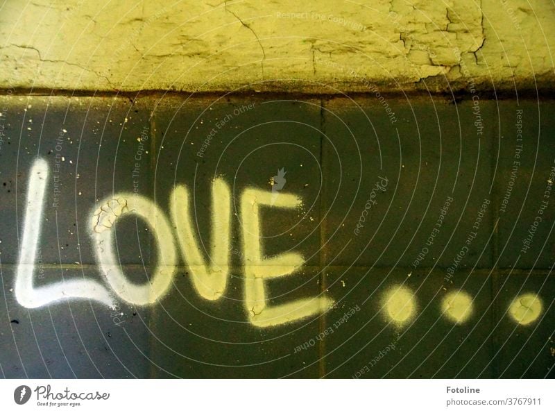 Love... - or the writing Love on a wall in a Lost Place Characters authored Letters (alphabet) points Point Decline lost places Colour photo Deserted Transience