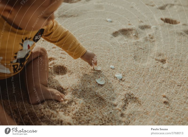 Toddler playing with sea shells Child childhood Beach Sand Sandy beach Shell Summer vacation Vacation & Travel Mussel shell Nature Exterior shot Ocean Close-up