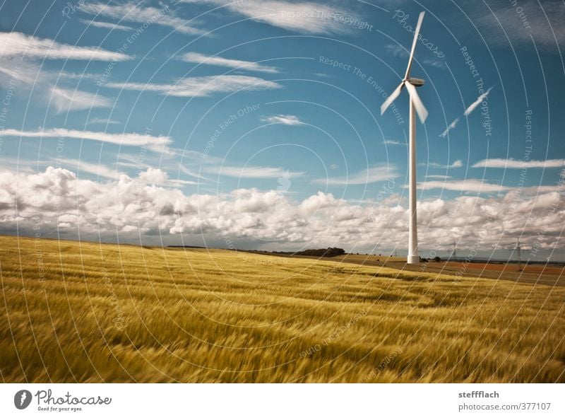 Wind turbine in cereal field Grain Energy industry Renewable energy Wind energy plant Sky Clouds Horizon Sun Summer Beautiful weather Field Rotate Friendliness