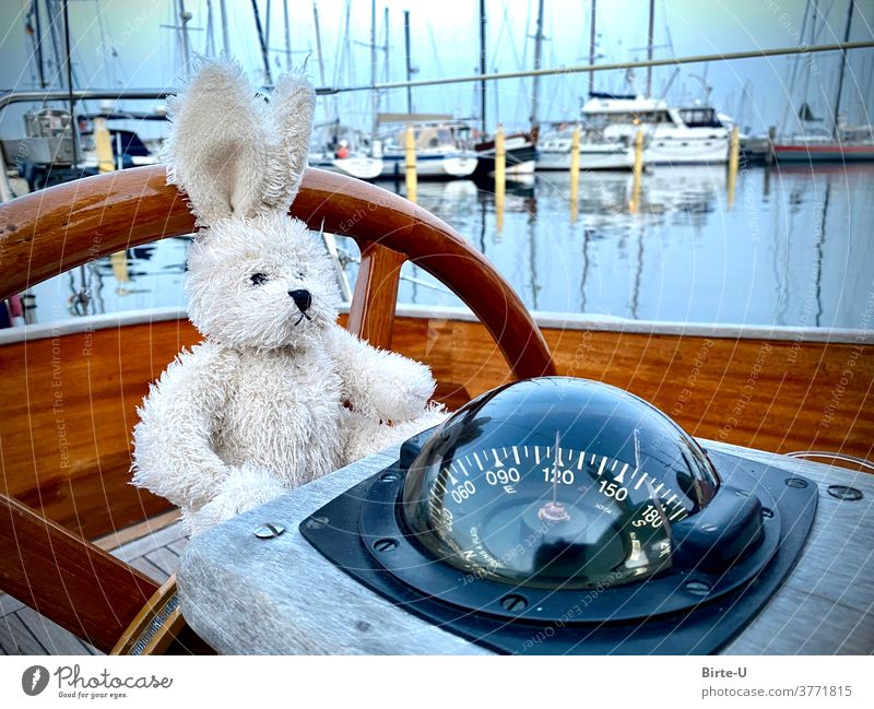 hare at the helm rabbit boat Harbour Sailing vacation Playing Steering wheel material Toys Compass (Navigation)