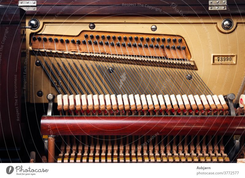 Inside of piano Make music Music Keyboard Piano Piano keyboard Concert Classical Colour photo Interior shot Musician Play piano Leisure and hobbies Close-up
