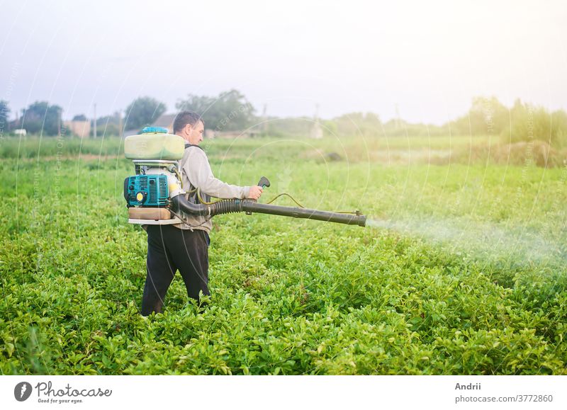 A farmer with a mist sprayer blower processes the potato plantation from pests and fungus infection. Use of agriculture industrial chemicals to protect crops. Protection and care. Fumigator fogger.