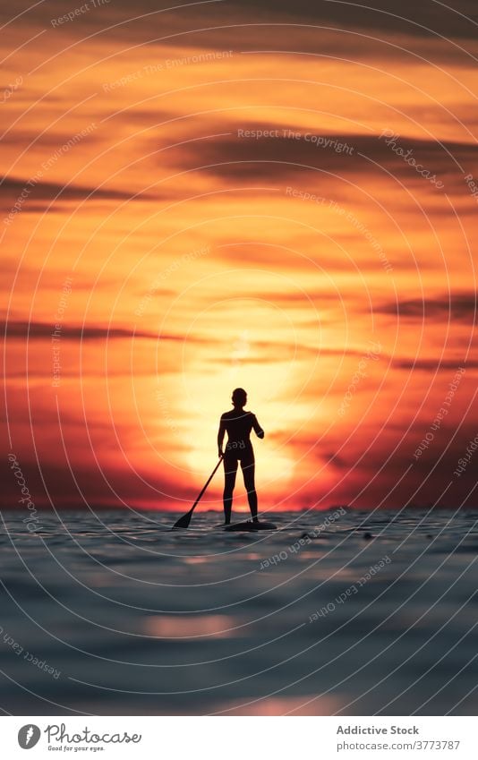 Anonymous woman practicing on paddle board at sunset surfer sup board silhouette row sea training surfboard female summer sporty stand calm water sundown sky