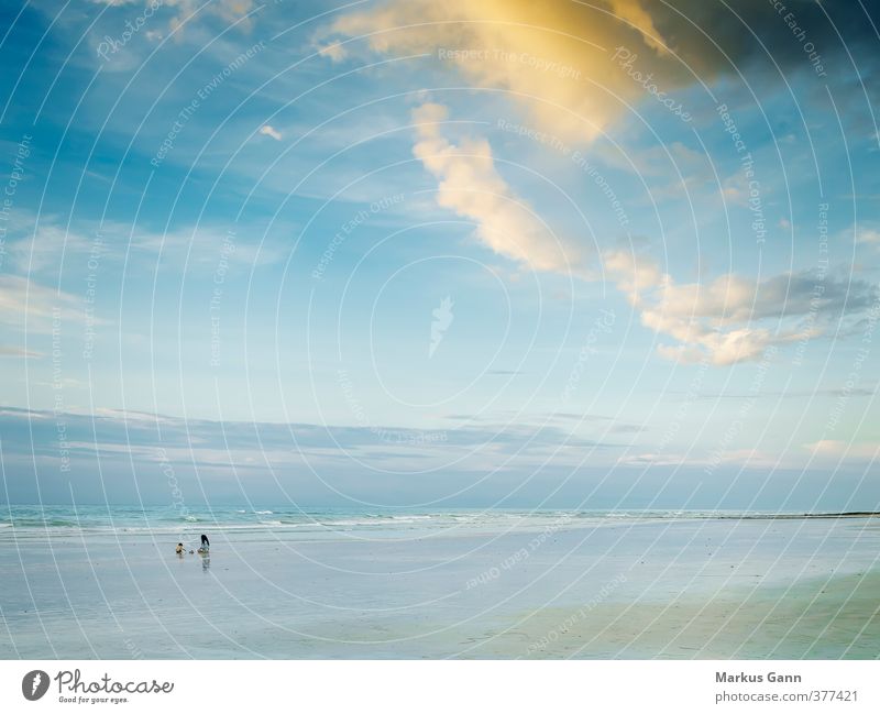 Broome Australia Vacation & Travel Beach Nature Sand Water Sky Clouds Ocean Blue Gold Relaxation Calm Horizon Far-off places Loneliness Colour photo