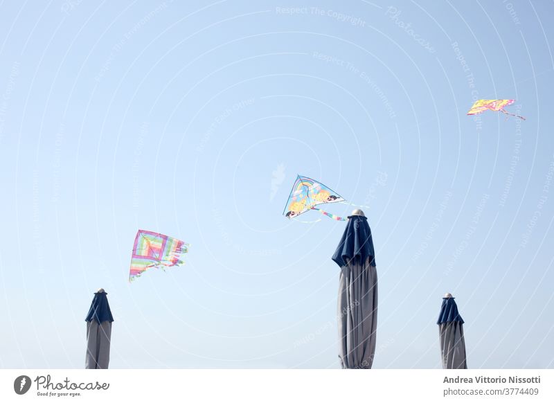 row of toy kites flying over closed  sun umbrellas with copy space blu sky summer sea beach childhood fun game play leisure print color image horizontal shore