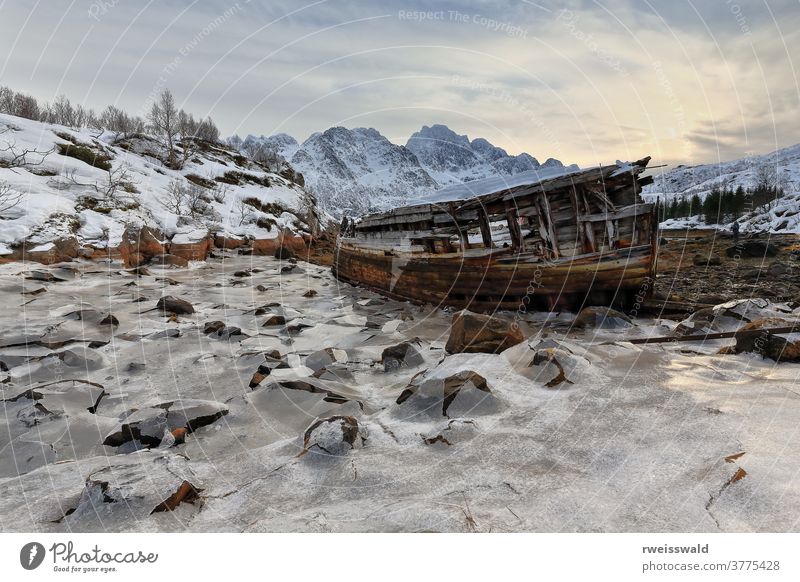 Shipwreck-abandoned wooden boat at Sildpolltjonna. Sildpollnes-Austnesfjorden-Austvagoya-Lofoten islands-Norway. 0139 fishing boat deserted watercraft shipwreck