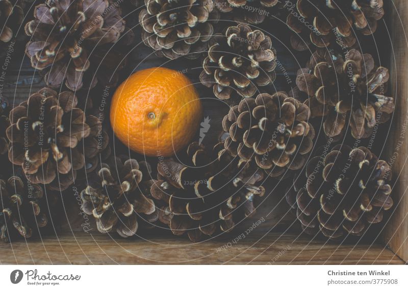 View from above on a wooden box with pine cones and a tangerine Pine cone Cone clementine citrus fruit Autumn Winter Advent Christmas Christmas & Advent