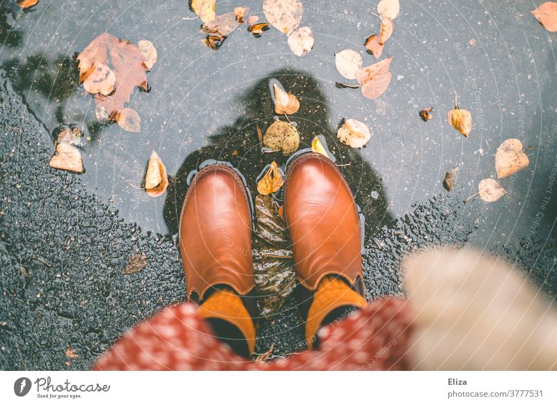 Autumn. Feet with boots stand in a puddle of leaves Autumn leaves Puddle Water foliage Rain Autumnal Wet Boots feet Woman Dress autumn colours Autumnal colours