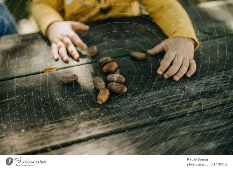 Child playing with oak acorns Acorn Oak tree Autumn Authentic Autumnal fall Playing outdoors Nature Autumn leaves Autumnal colours Plant Exterior shot Tree