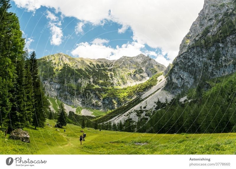 hiking in the alps mountain Peak Alps Pyhrgas Meadow Hiking Austria Rock Tall Steep up Valley tree Forest Sky Vantage point Clouds Nature Landscape Stone