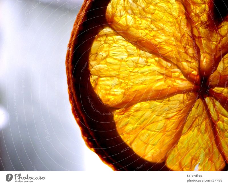 orange Healthy Fruit Orange Macro (Extreme close-up) Nutrition